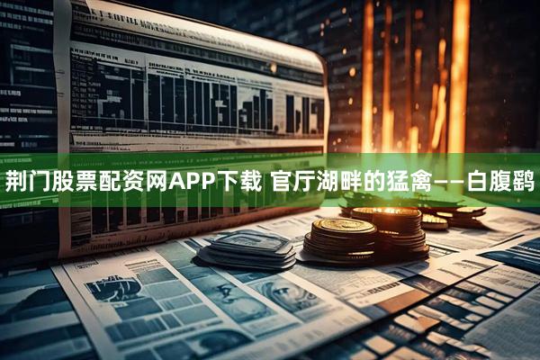 荆门股票配资网APP下载 官厅湖畔的猛禽——白腹鹞