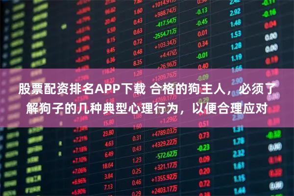 股票配资排名APP下载 合格的狗主人，必须了解狗子的几种典型心理行为，以便合理应对