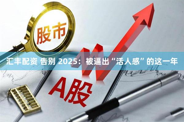 汇丰配资 告别 2025：被逼出“活人感”的这一年