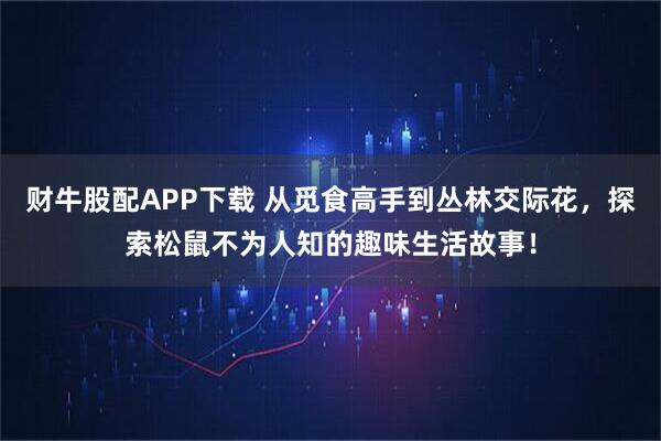 财牛股配APP下载 从觅食高手到丛林交际花，探索松鼠不为人知的趣味生活故事！